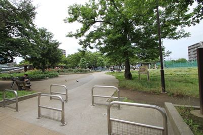 渋江公園の画像