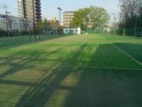葛飾区スポーツ施設渋江公園テニスコートの画像