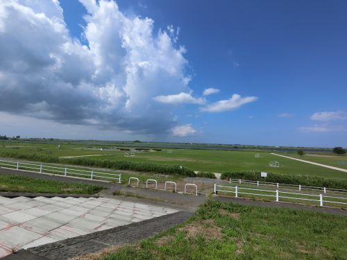 佐原河川敷緑地の画像