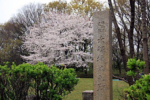 赤塚城址公園の画像