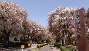 東京学芸大学の画像