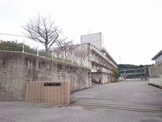 高知市立横浜小学校の画像