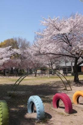 大淀中公園の画像