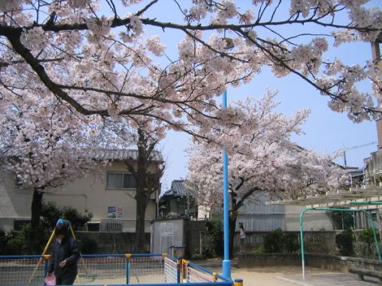 大野町公園の画像