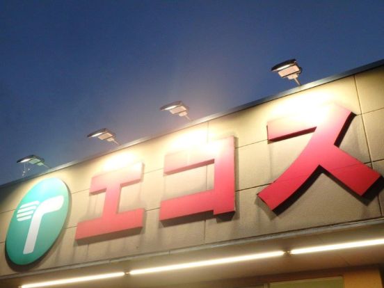 エコス TAIRAYA上三川店の画像