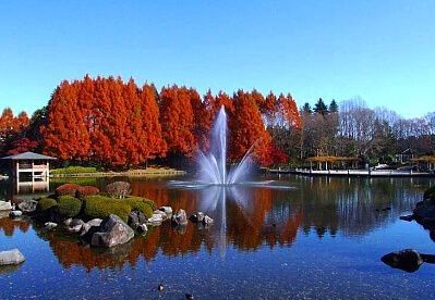 中央公園の画像