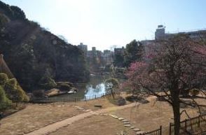 肥後細川庭園の画像