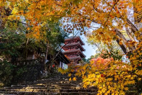 竹林寺の画像