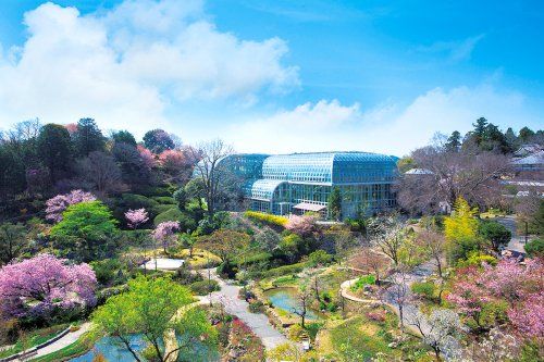 高知県立　牧野植物園の画像