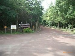 阿波岐原森林公園の画像