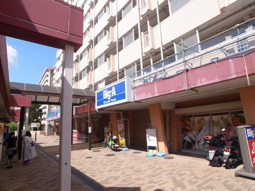 ビッグ・エー・横浜南神大寺団地店の画像