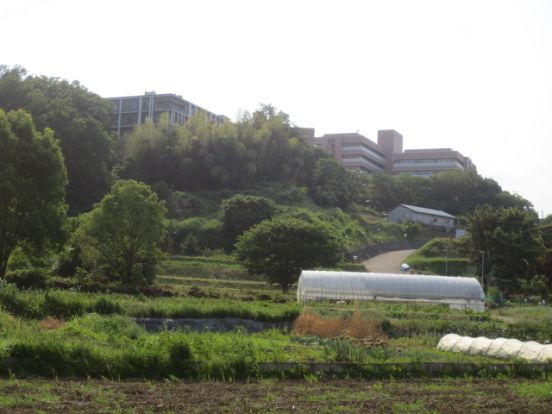 東京農業大学農学部 厚木キャンパスの画像