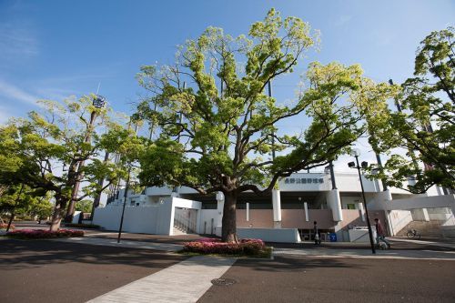 俣野公園の画像