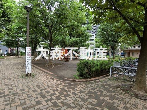 入新井公園の画像