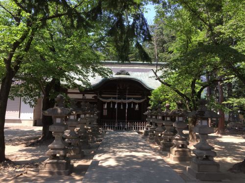 千塚八幡神社の画像