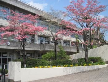 松戸市立根木内中学校の画像