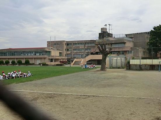 東村山市立 久米川東小学校の画像