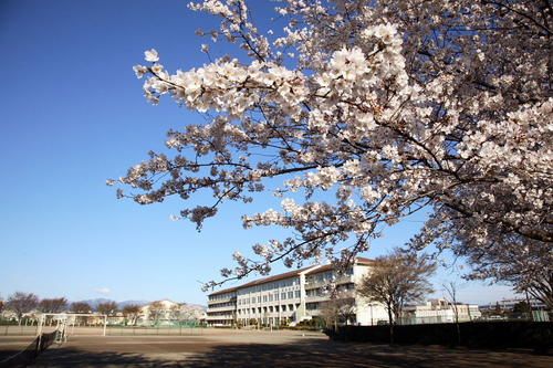 入間市立野田中学校の画像