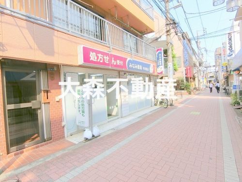 みなみ薬局平和島店の画像