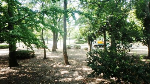 毛馬桜之宮公園の画像