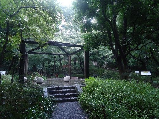 下落合野鳥の森公園の画像