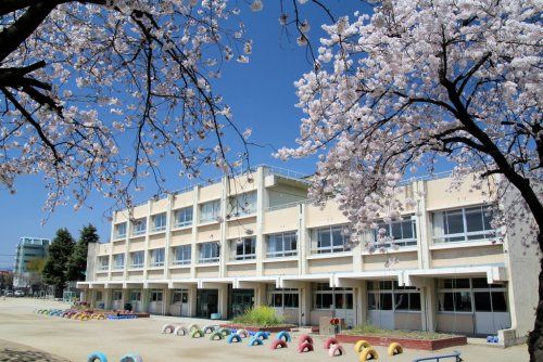 城東小学校の画像