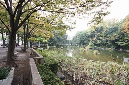 後谷公園の画像