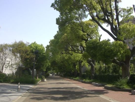 真田山公園の画像