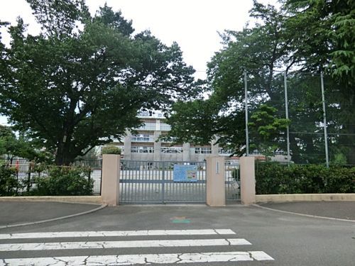 杉並区立馬橋小学校の画像