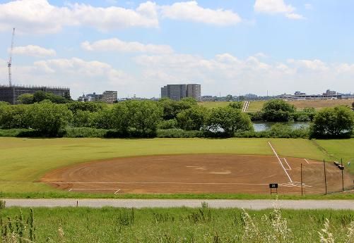 三郷市 江戸川河川敷野球場の画像