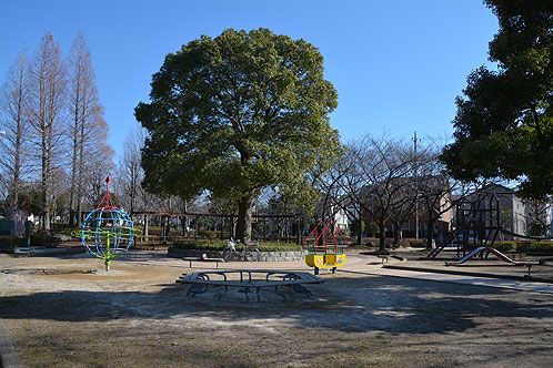 松之木公園の画像