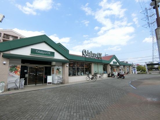 Odakyu OX 栗平店の画像
