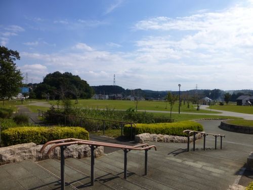 水の江公園の画像