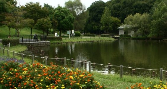 徳生公園の画像