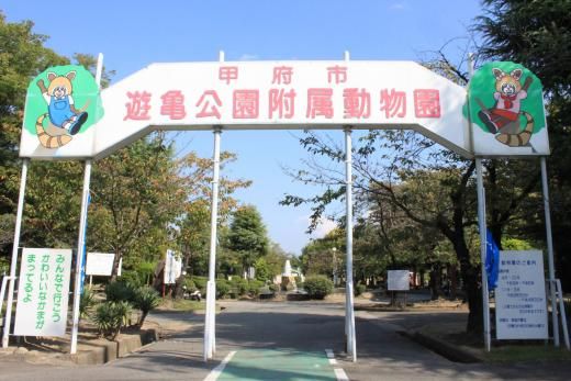 遊亀公園附属動物園の画像