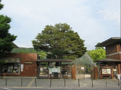 京都市動物園の画像