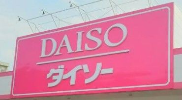 ザ・ダイソー・レッドキャベツ月隈店の画像