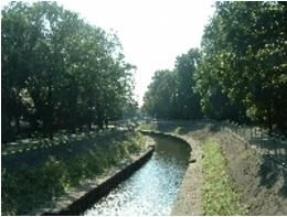 善福寺川緑地の画像