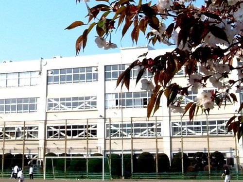 小金井市立 小金井第二中学校の画像