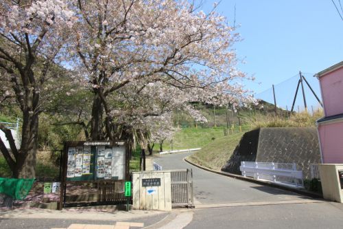 野比中学校の画像