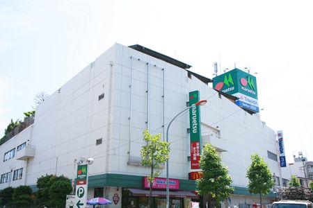 ヤマダ電機 テックランド武蔵中原店の画像