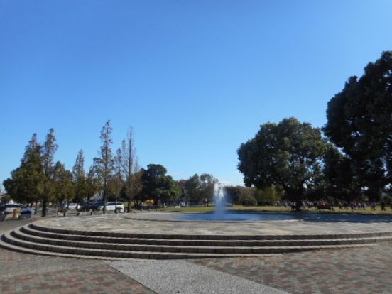 大師公園の画像