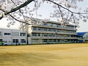 新潟市立亀田東小学校の画像