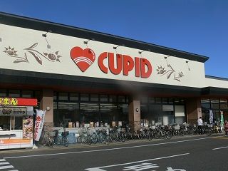 キューピット かめだ三條岡店の画像