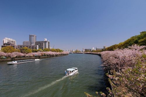 桜之宮公園の画像