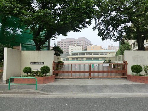 練馬区立石神井東中学校の画像