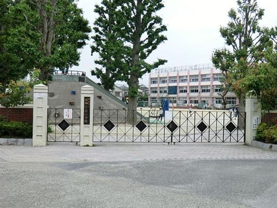 練馬区立石神井東小学校の画像