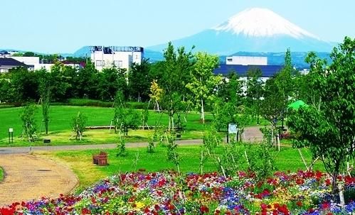神奈川県立花と緑のふれあいセンター 花菜ガーデンの画像