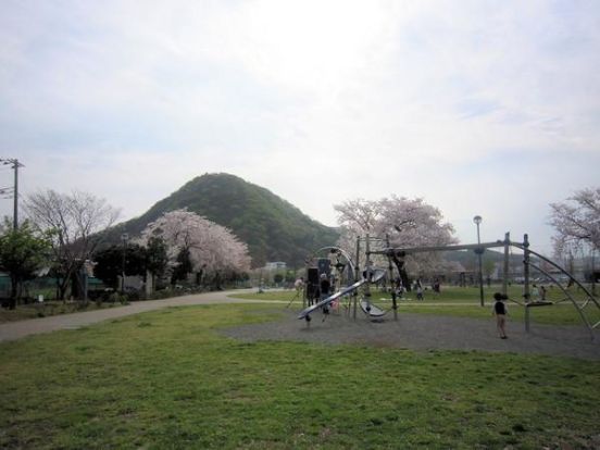 桜ヶ丘公園の画像