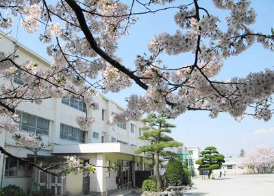 茅ヶ崎市立鶴嶺小学校の画像